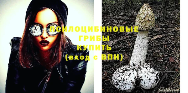 дживик Дмитровск